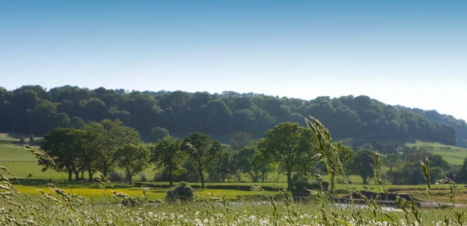 Goose Green Farm